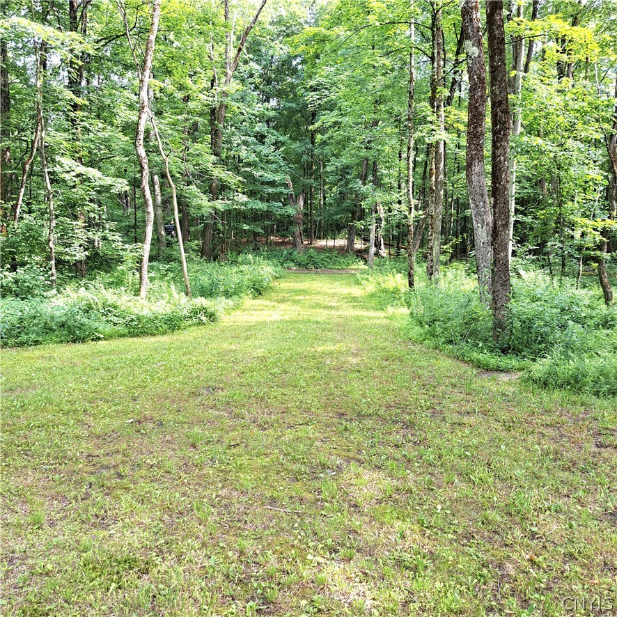 Lot #19 Lee Road Florence, NY 13316 - Photo 6 of 23