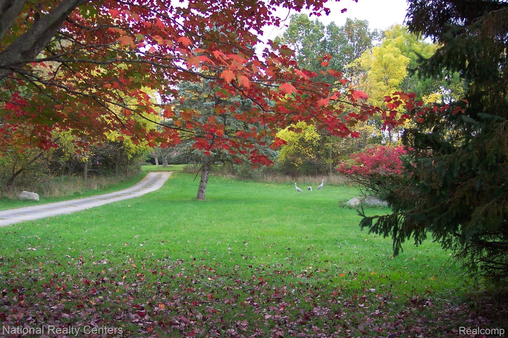 8450 Knox Road Clarkston, MI 48348 - Photo 24 of 85 100_7098.JPG
