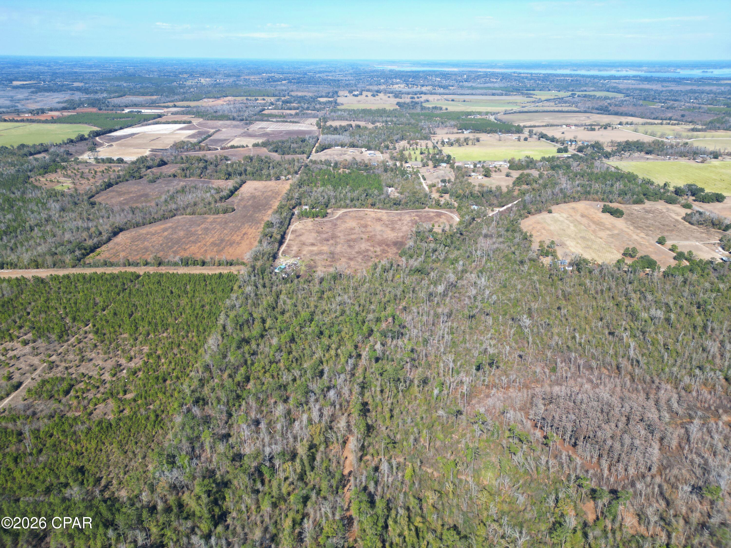 7849 Leatherneck Trail Grand Ridge, FL 32442 - Photo 16 of 22