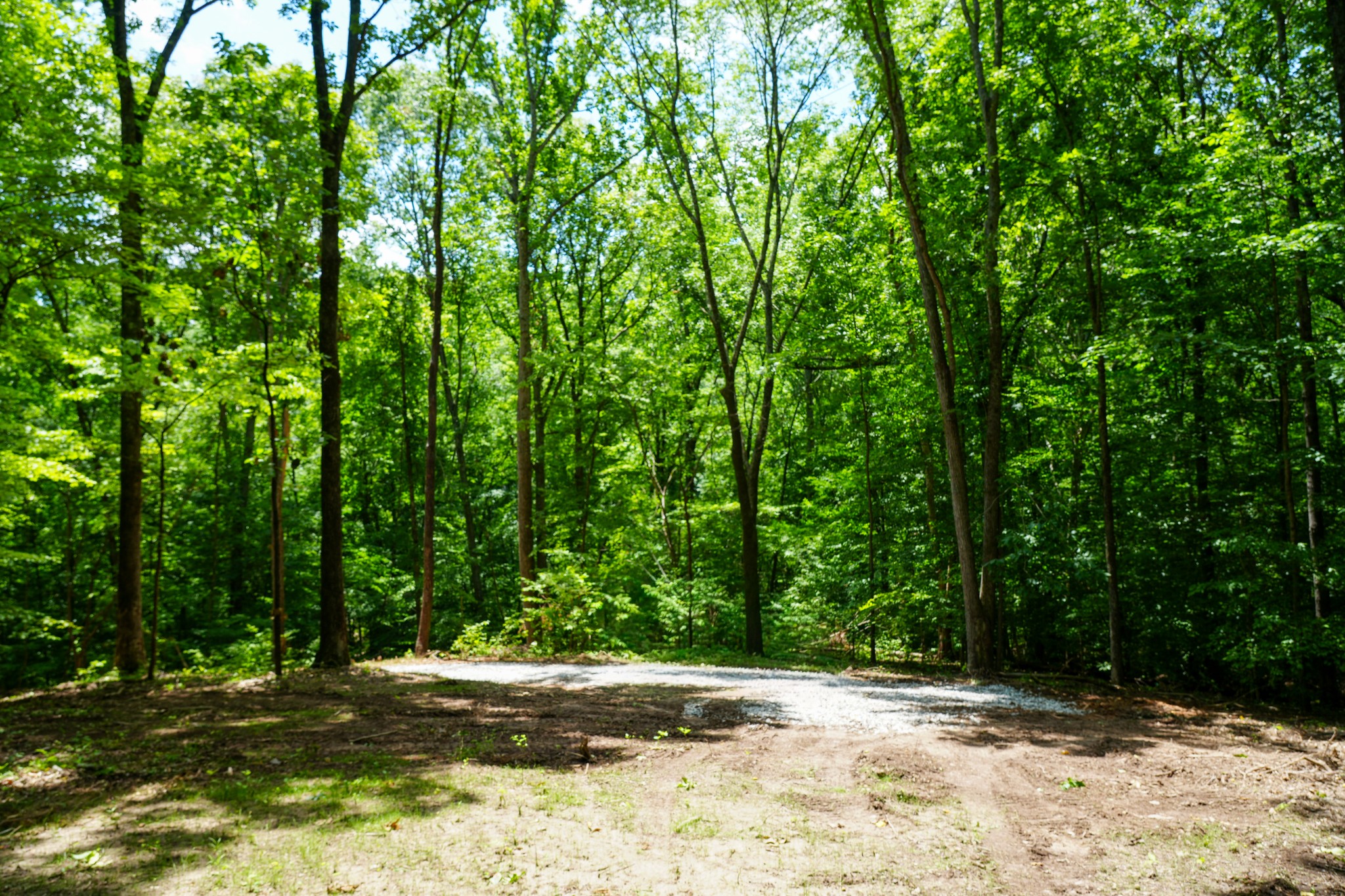 1 Budds Creek Road Palmyra, TN 37142 - Photo 65 of 76