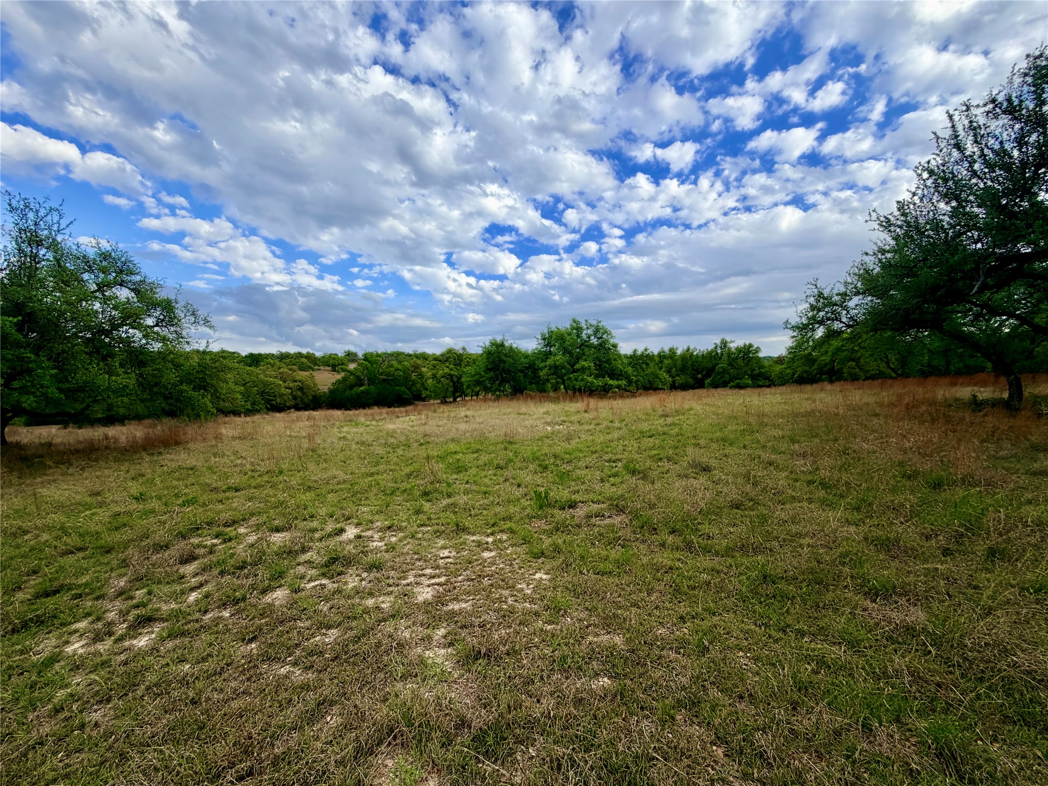 768 North Walnut Springs Road Johnson City, TX 78636 - Photo 11 of 22 Expansive lot featuring mature trees and a natural landscape