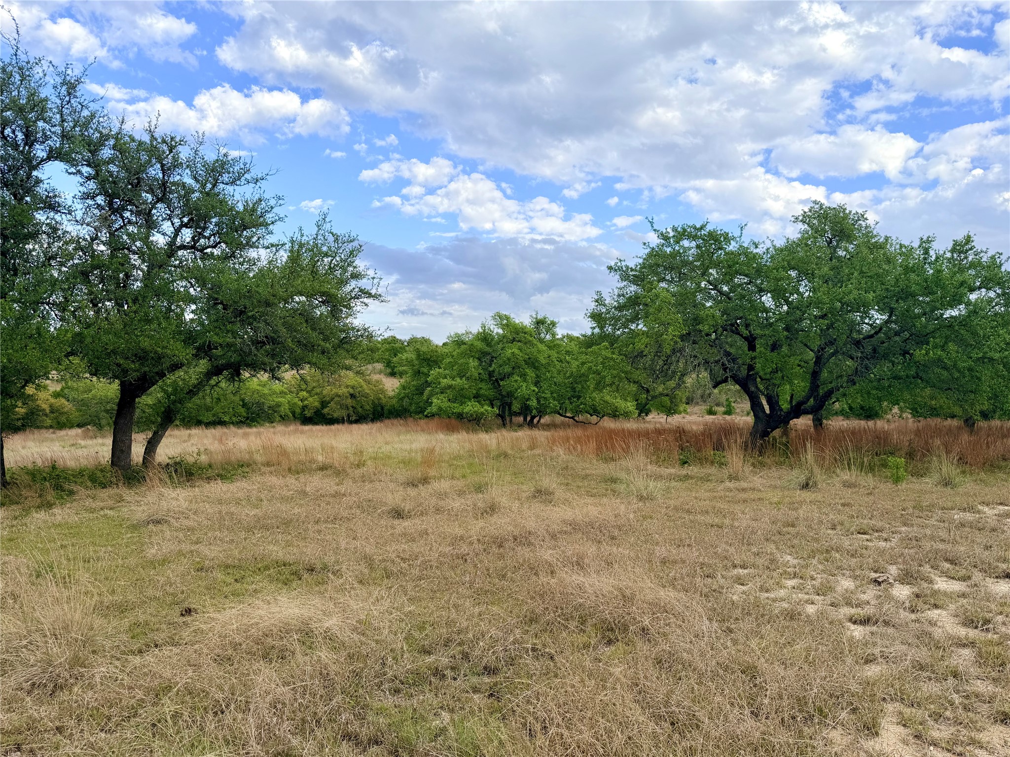 768 North Walnut Springs Road Johnson City, TX 78636 - Photo 12 of 22 Expansive land featuring mature trees and open grassy areas under a blue sky with clouds