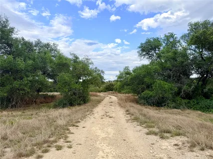a view of a dirt road with trees in the background