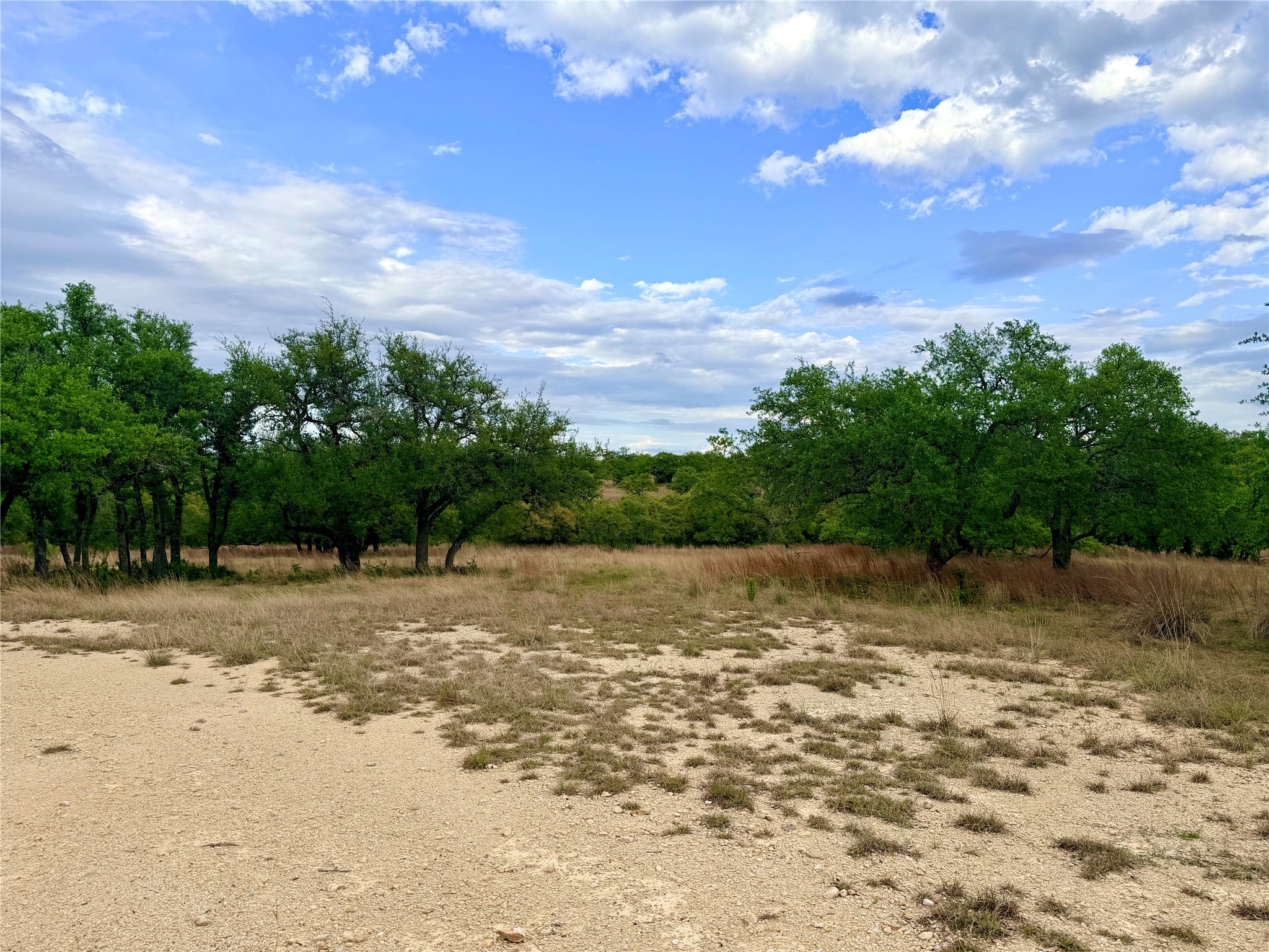 768 North Walnut Springs Road Johnson City, TX 78636 - Photo 4 of 22 Expansive open land with mature trees and a clear sky
