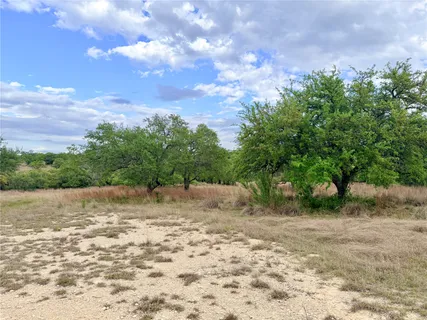 a view of a yard with a tree