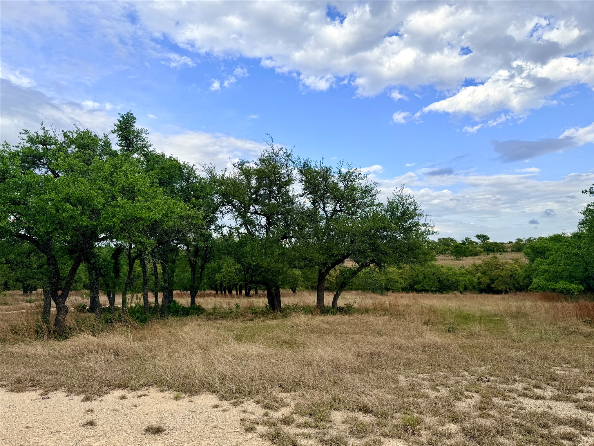 768 North Walnut Springs Road Johnson City, TX 78636 - Photo 6 of 22 The property features a landscape with mature trees and open fields of natural grasses, set against a clear sky with clouds