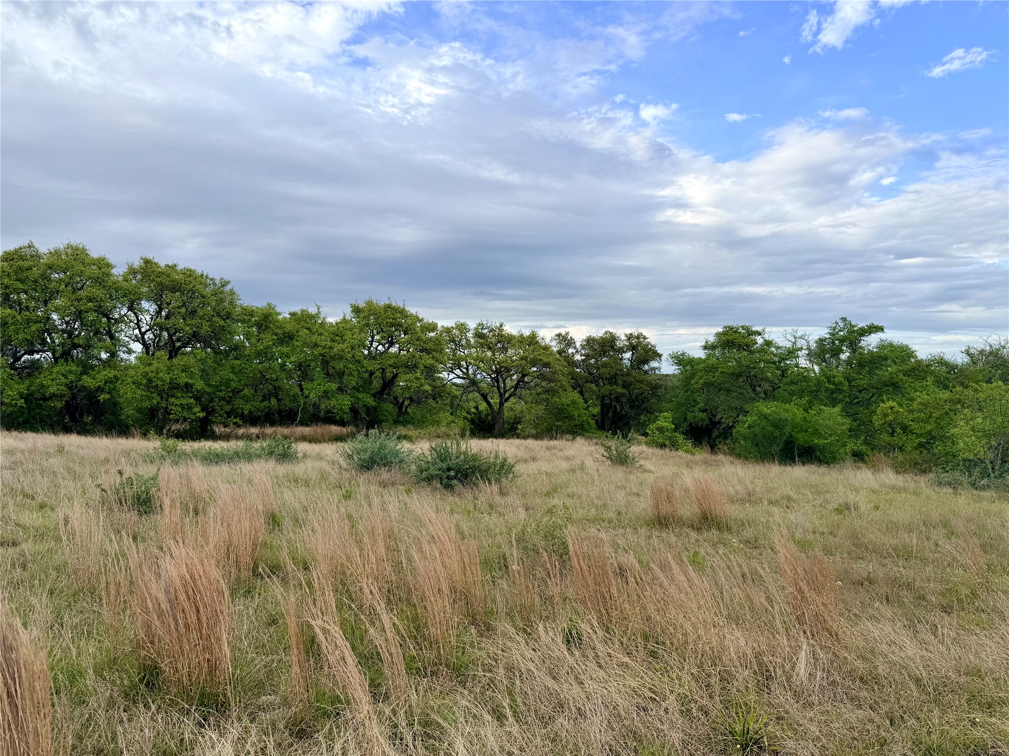 768 North Walnut Springs Road Johnson City, TX 78636 - Photo 7 of 22 The property features an extensive grassy area with mature trees and a vast sky above