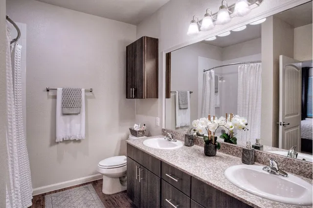 a bathroom with a granite countertop sink a toilet and a mirror