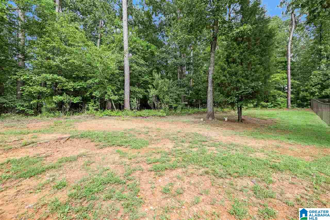 8601 Shady Trail Helena, AL 35022 - Photo 47 of 49