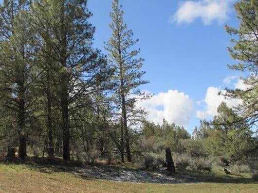 Partin Drive, Unit 2 Beatty, OR 97621 - Photo 3 of 7 Gallery Image 3
