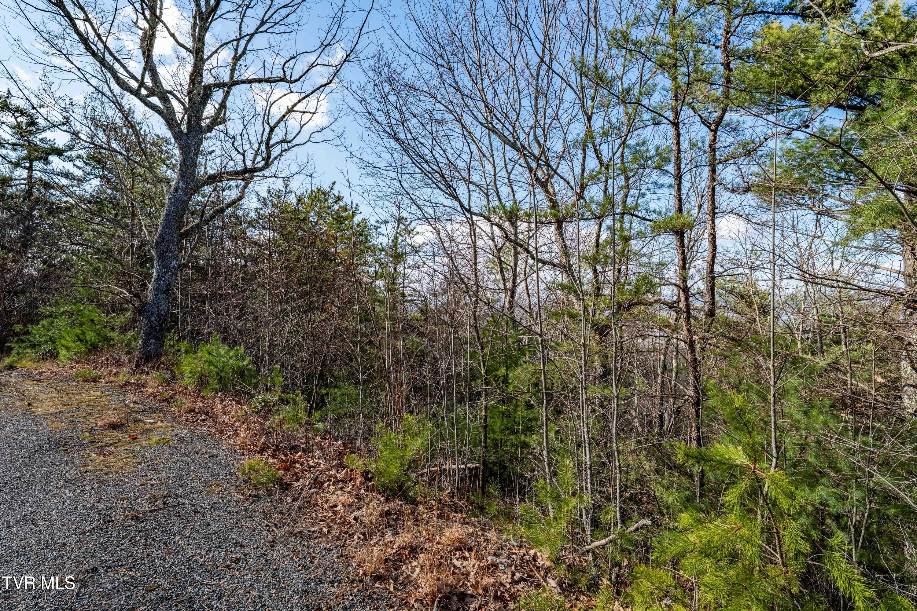 Tbd Locust Gap Road Mountain City, TN 37683 - Photo 26 of 38 TBD Locust Gap Road (26 of 35)