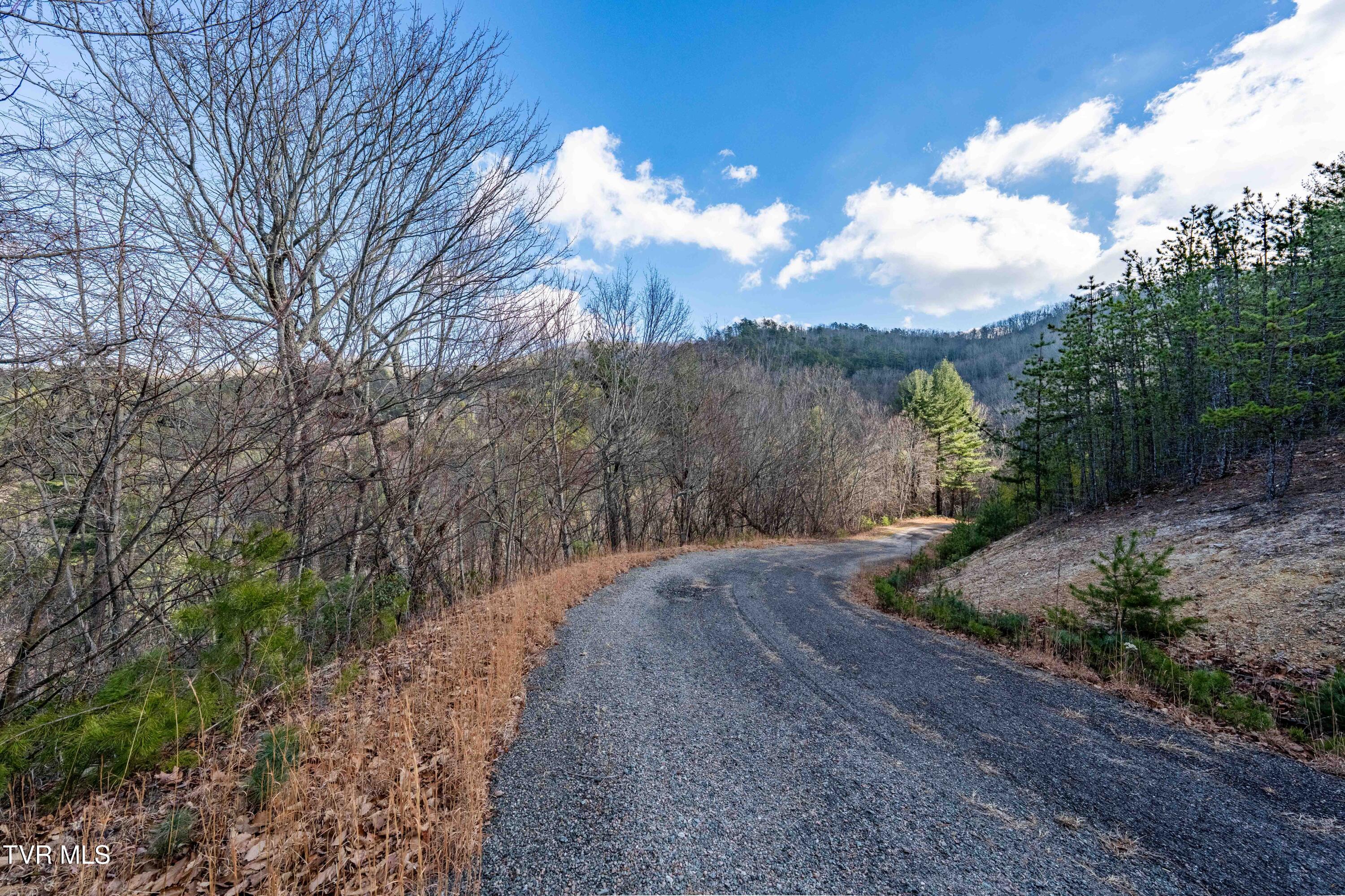 Tbd Locust Gap Road Mountain City, TN 37683 - Photo 28 of 38 TBD Locust Gap Road (28 of 35)