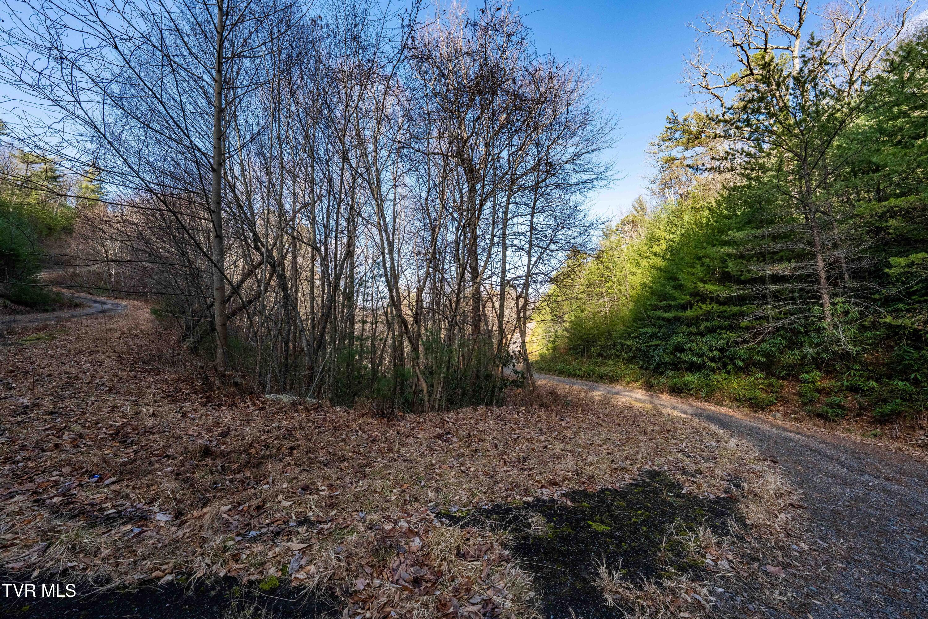Tbd Locust Gap Road Mountain City, TN 37683 - Photo 29 of 38 TBD Locust Gap Road (29 of 35)