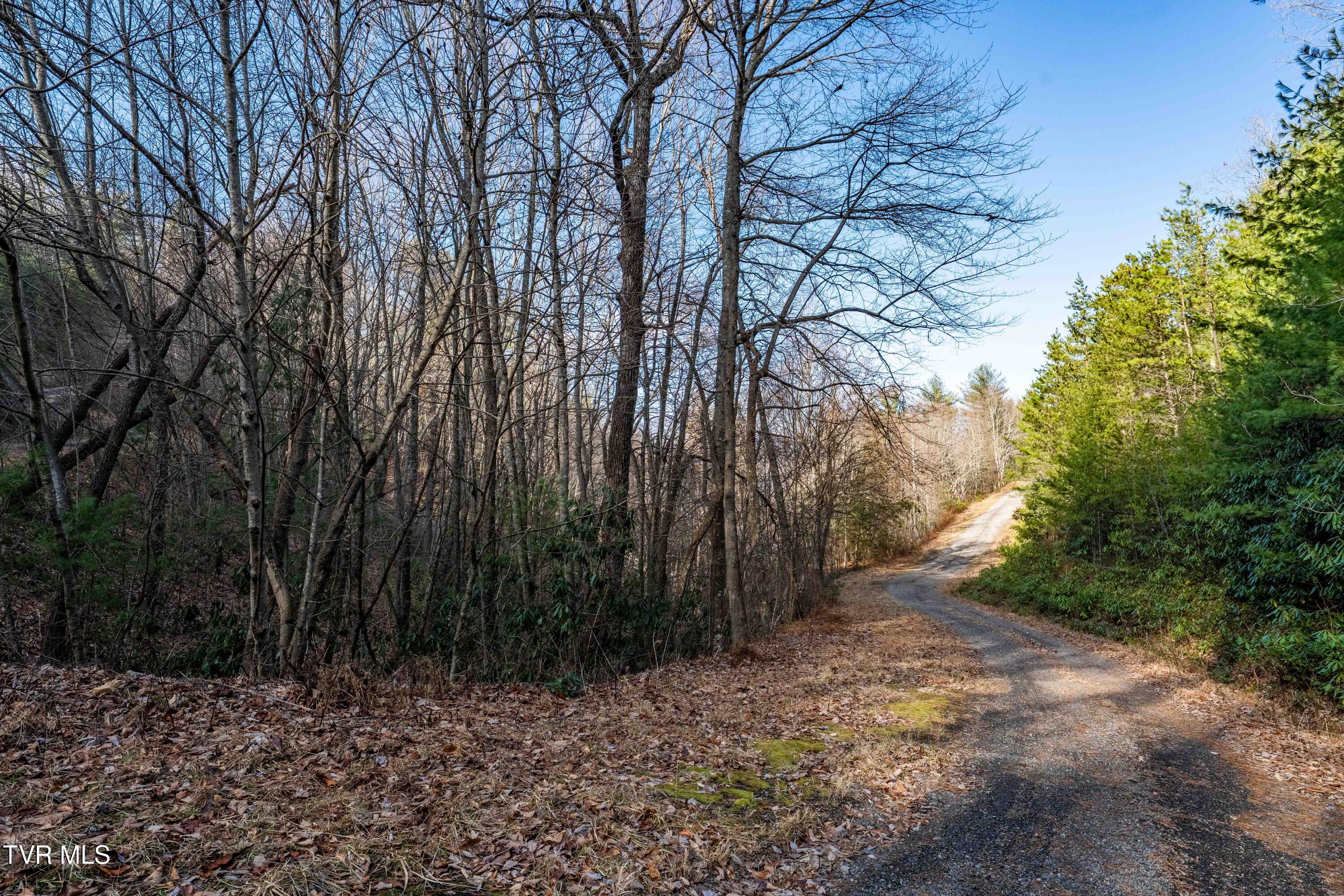 Tbd Locust Gap Road Mountain City, TN 37683 - Photo 30 of 38 TBD Locust Gap Road (30 of 35)