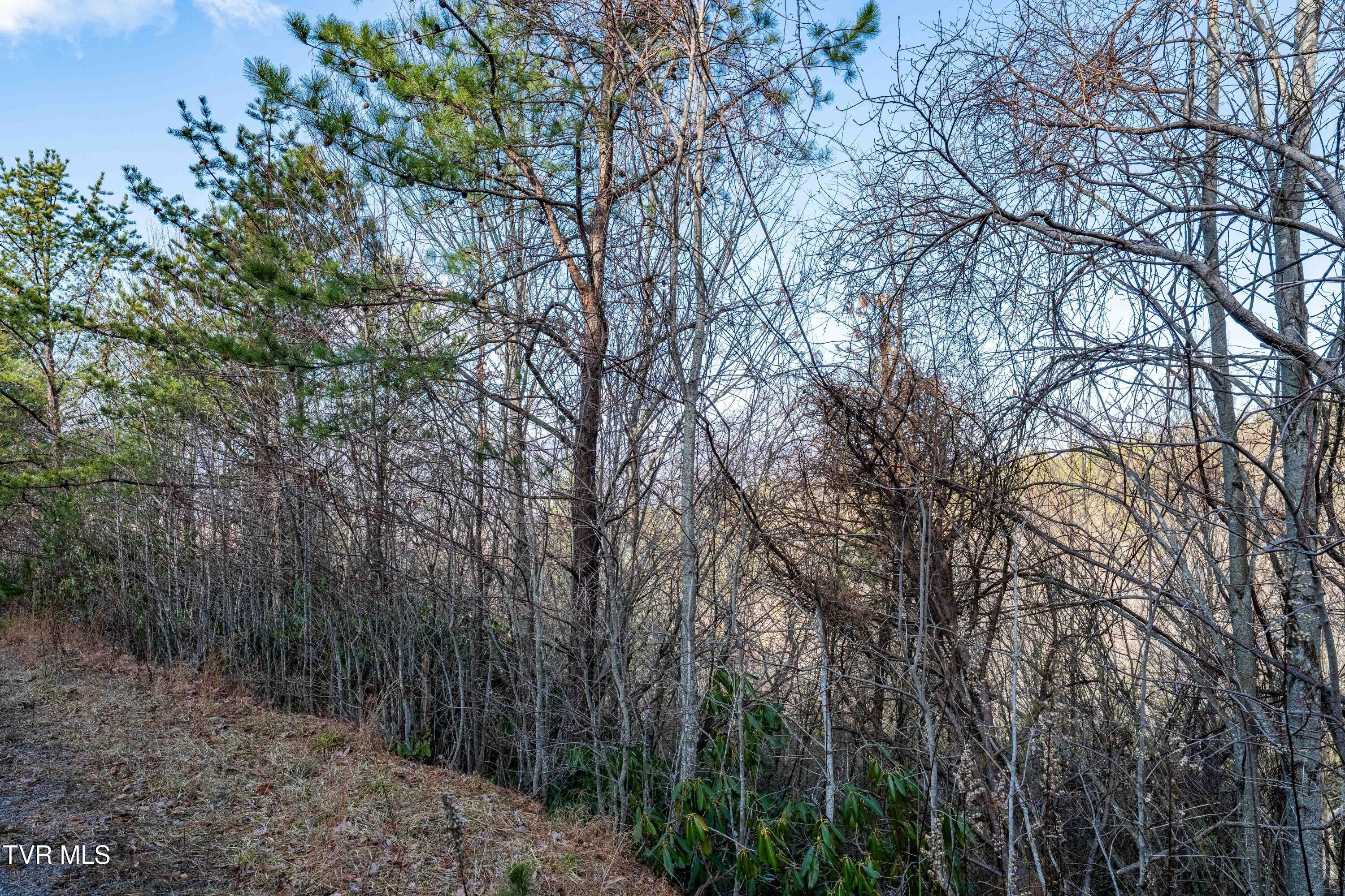 Tbd Locust Gap Road Mountain City, TN 37683 - Photo 31 of 38 TBD Locust Gap Road (31 of 35)