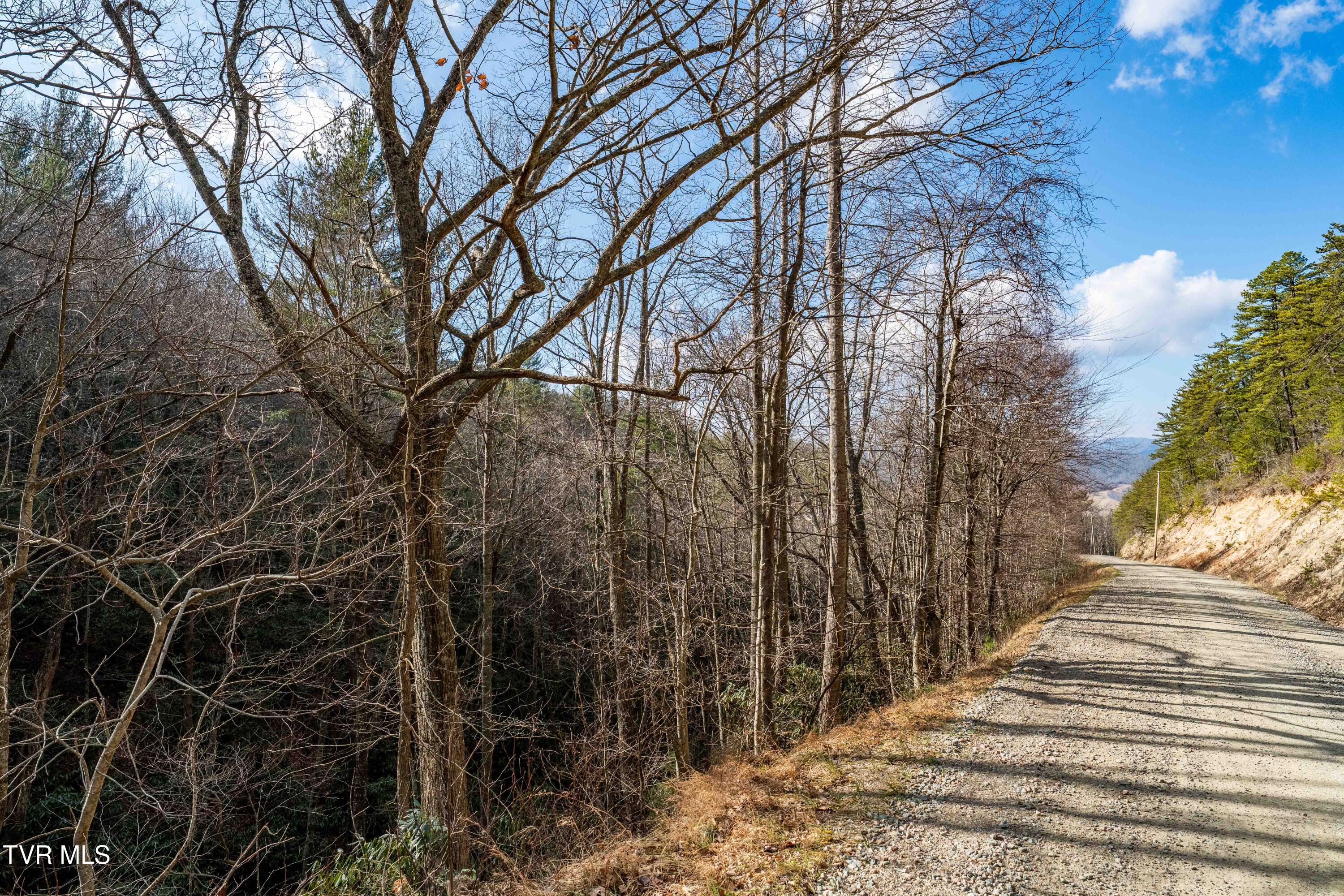 Tbd Locust Gap Road Mountain City, TN 37683 - Photo 32 of 38 TBD Locust Gap Road (32 of 35)
