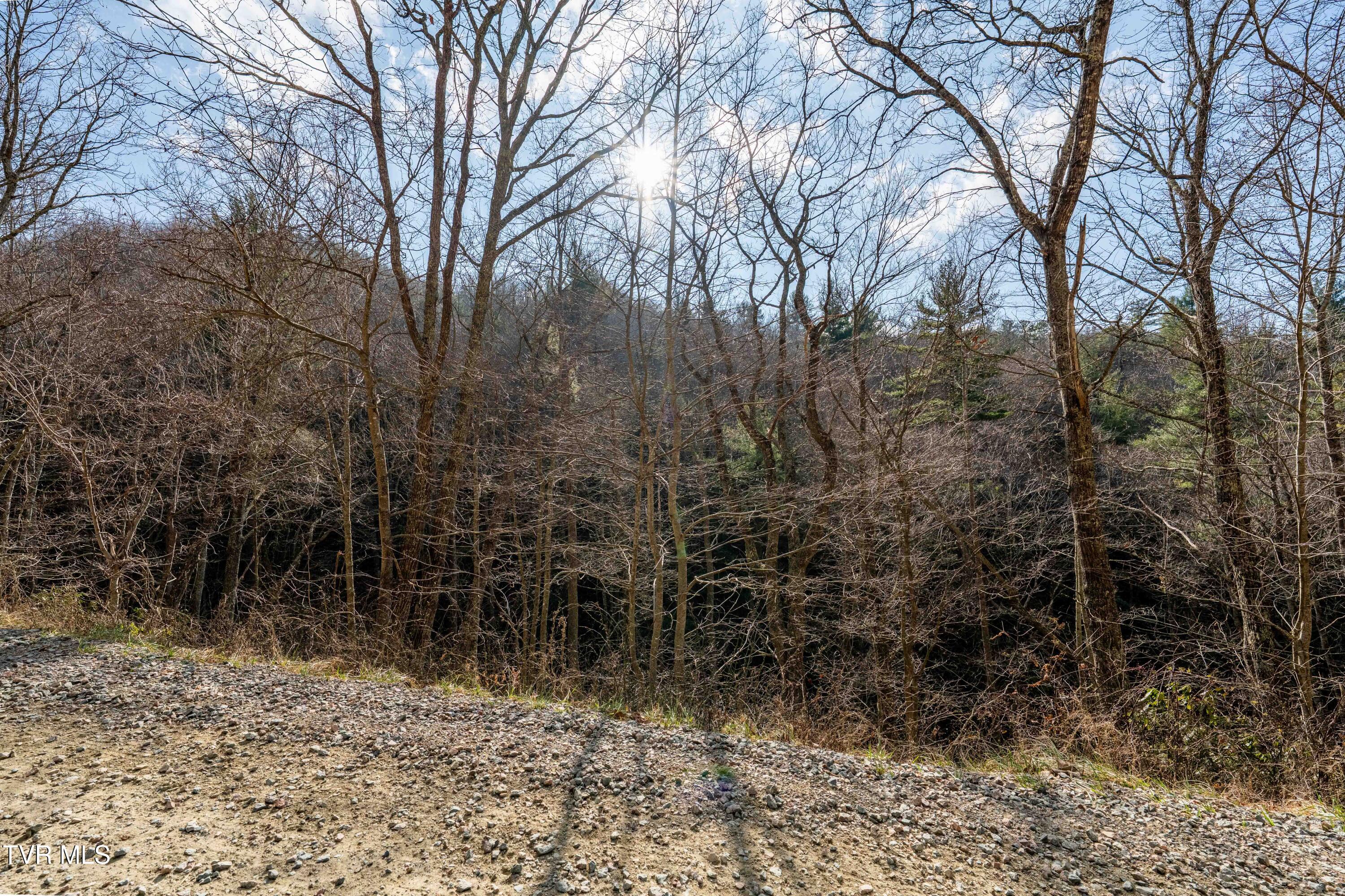 Tbd Locust Gap Road Mountain City, TN 37683 - Photo 33 of 38 TBD Locust Gap Road (33 of 35)