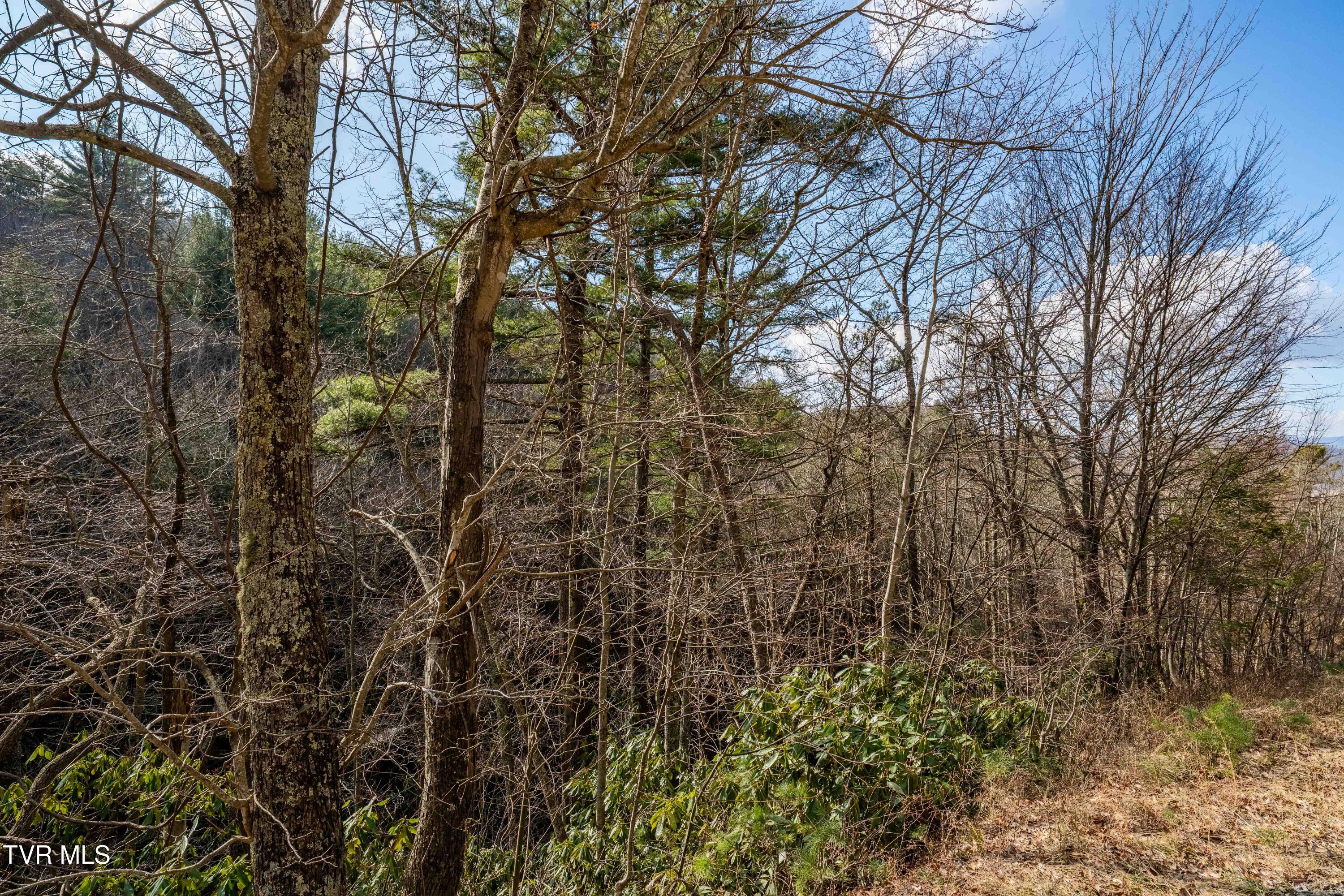Tbd Locust Gap Road Mountain City, TN 37683 - Photo 35 of 38 TBD Locust Gap Road (35 of 35)
