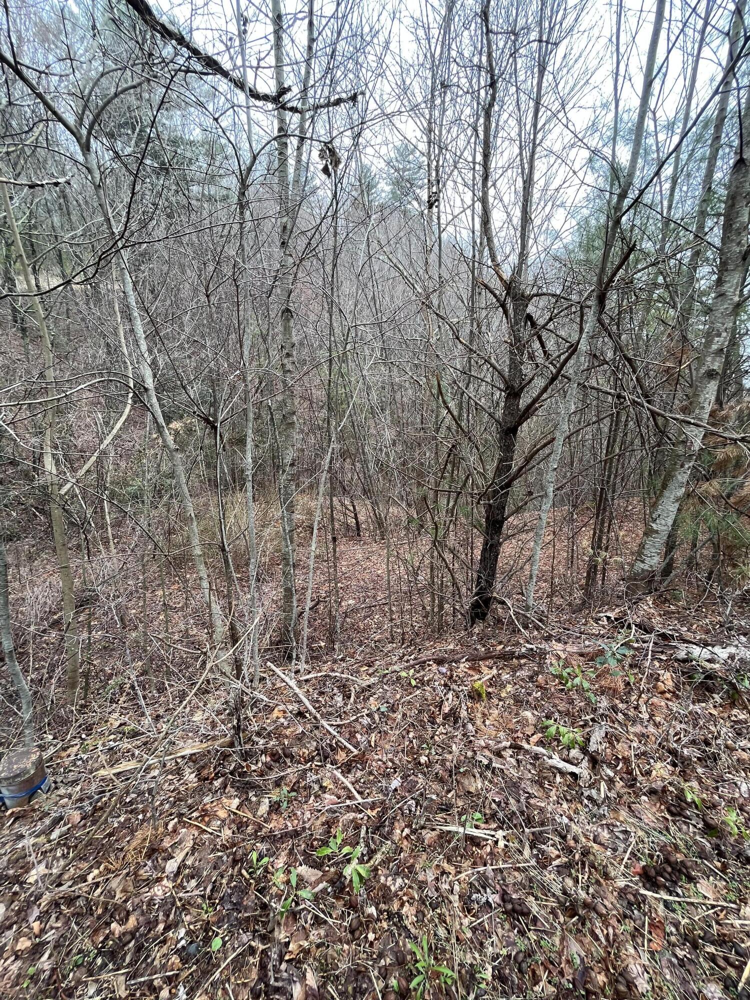Tbd Locust Gap Road Mountain City, TN 37683 - Photo 36 of 38 cassavar well head