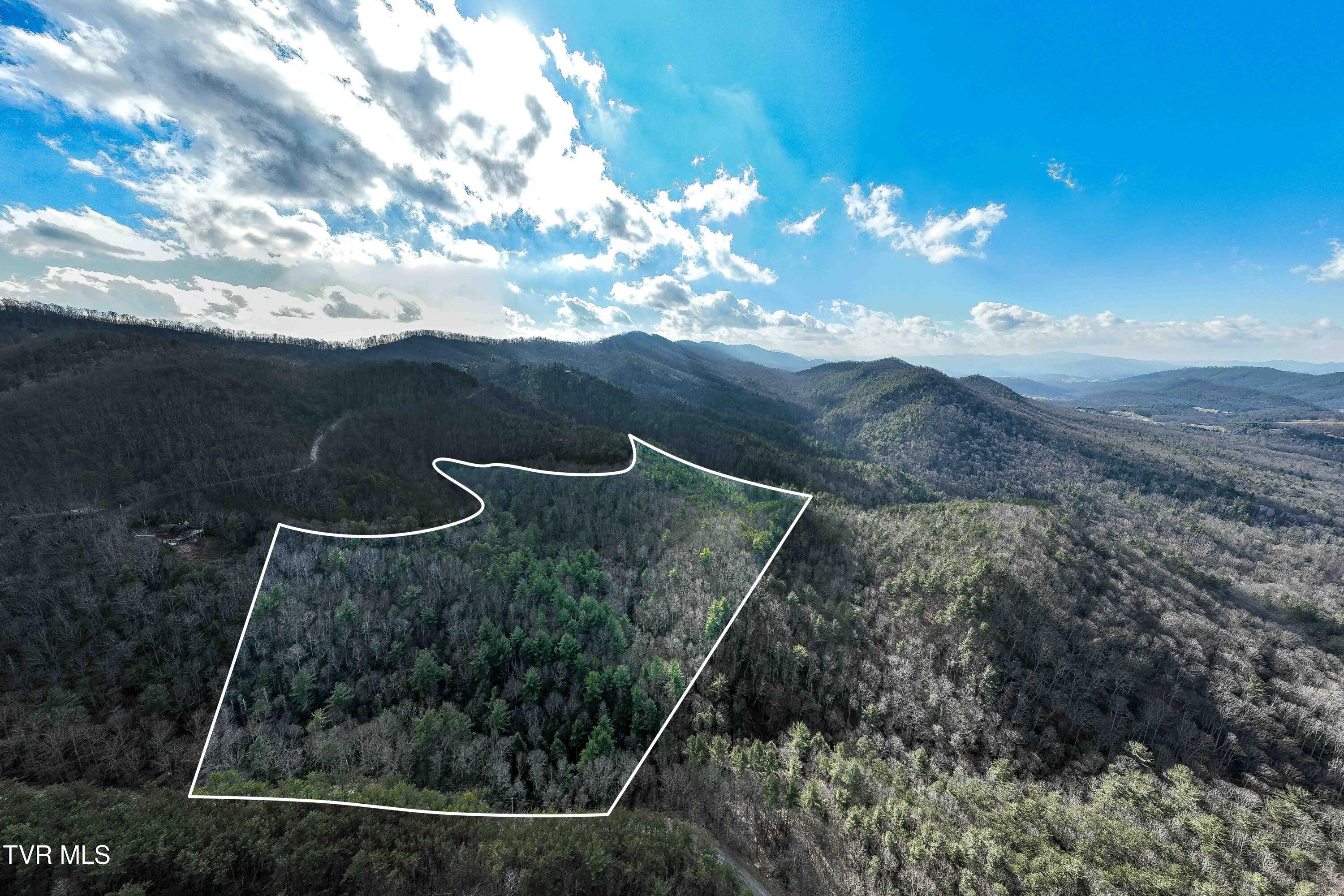 Tbd Locust Gap Road Mountain City, TN 37683 - Photo 5 of 38 TBD Locust Gap Road (5 of 35)