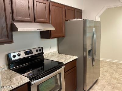 133 Pheasant Road Clinton, TN 37716 - Photo 17 of 26 thumbnail (12)