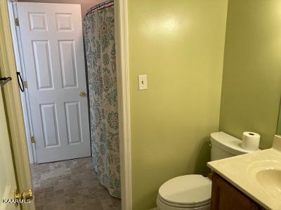 133 Pheasant Road Clinton, TN 37716 - Photo 26 of 26 thumbnail (27)