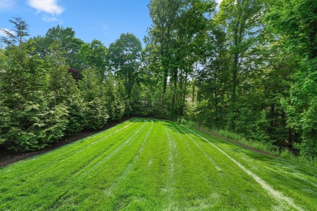 709 Boston Post Road Weston, MA 02493 - Photo 39 of 42 a view of a backyard with a small space
