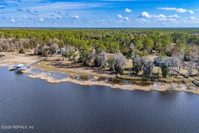 a view of a garden with a lot of flower plants and wooden floor