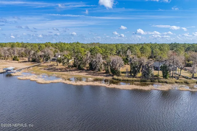 a view of a bunch of flowers in front of statue