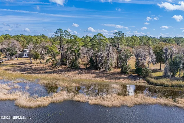 a view of a bunch of flowers and trees