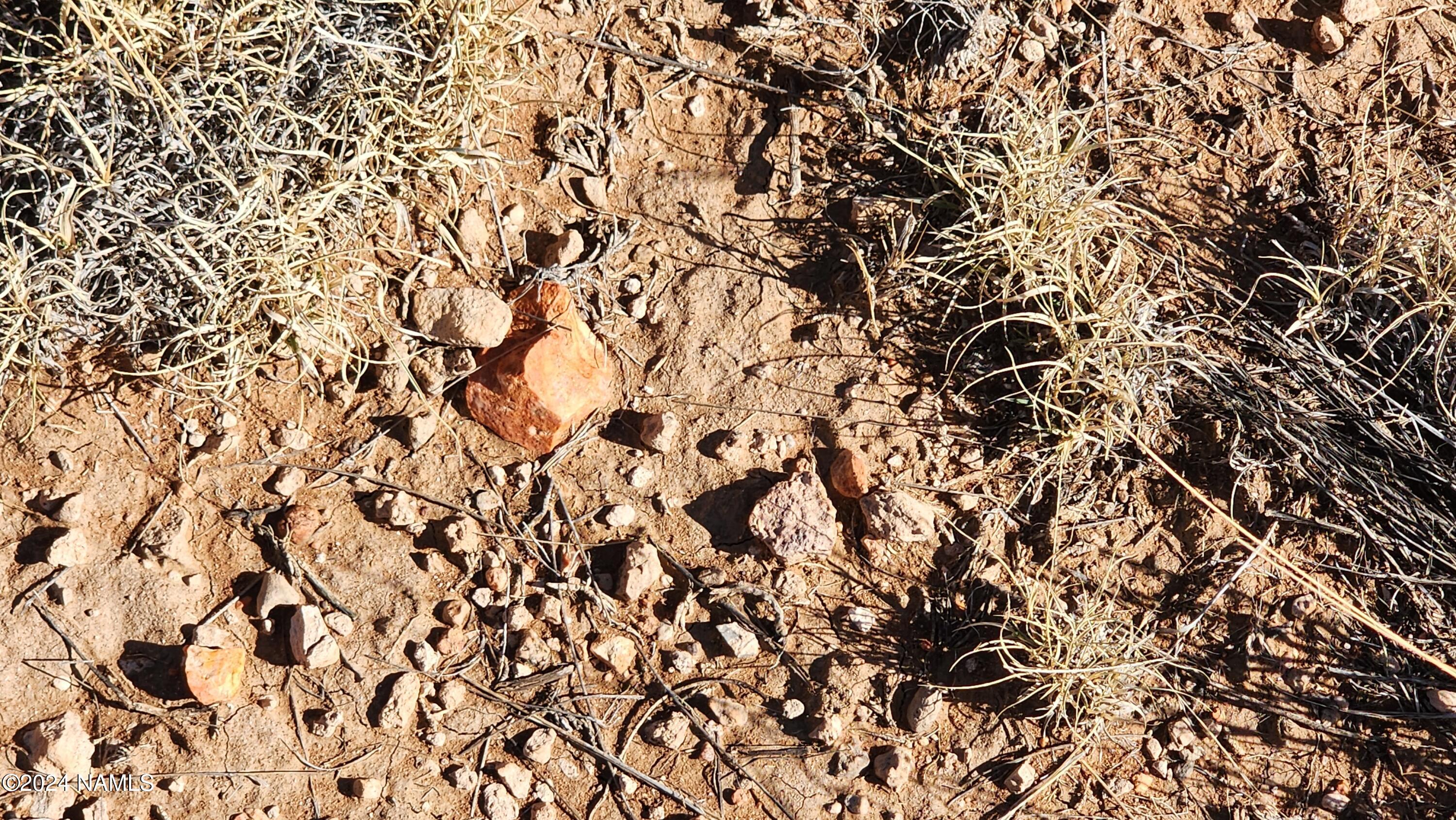 3433 Red Butte Road Williams, AZ 86046 - Photo 5 of 10 unknown