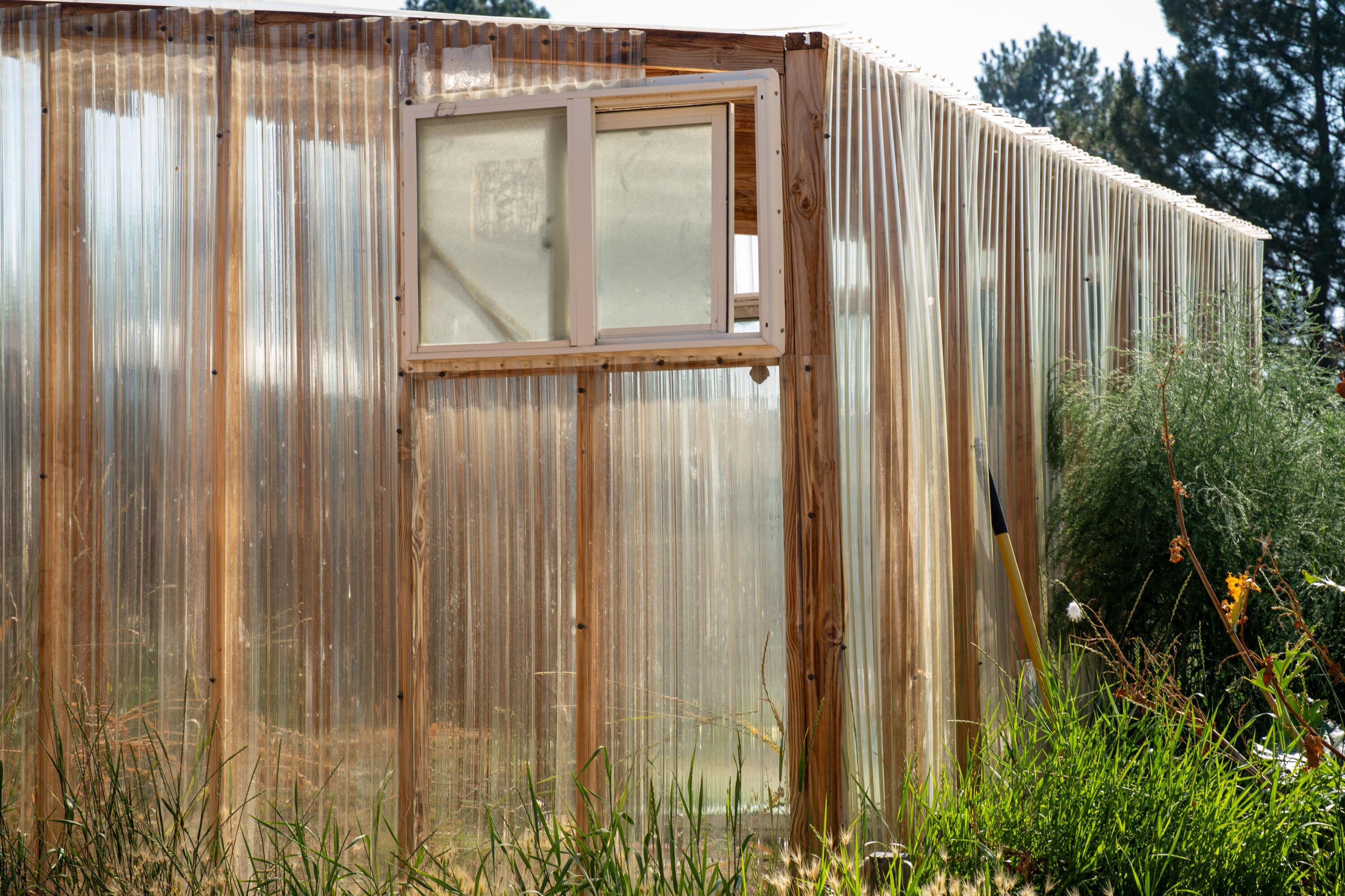 649 Southwest 33rd Street Redmond, OR 97756 - Photo 29 of 30 Greenhouse 2