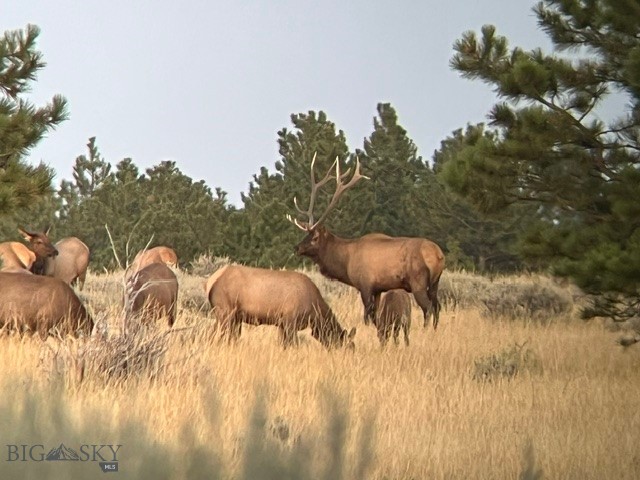 659 Deadmans Canyon Road Reed Point, MT 59069 - Photo 53 of 96 Gallery Image 53