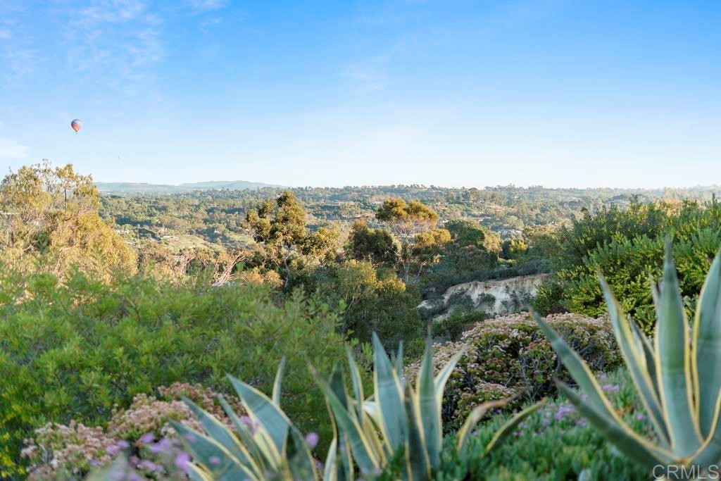 311 Trailview Road Encinitas, CA 92024 - Photo 14 of 14