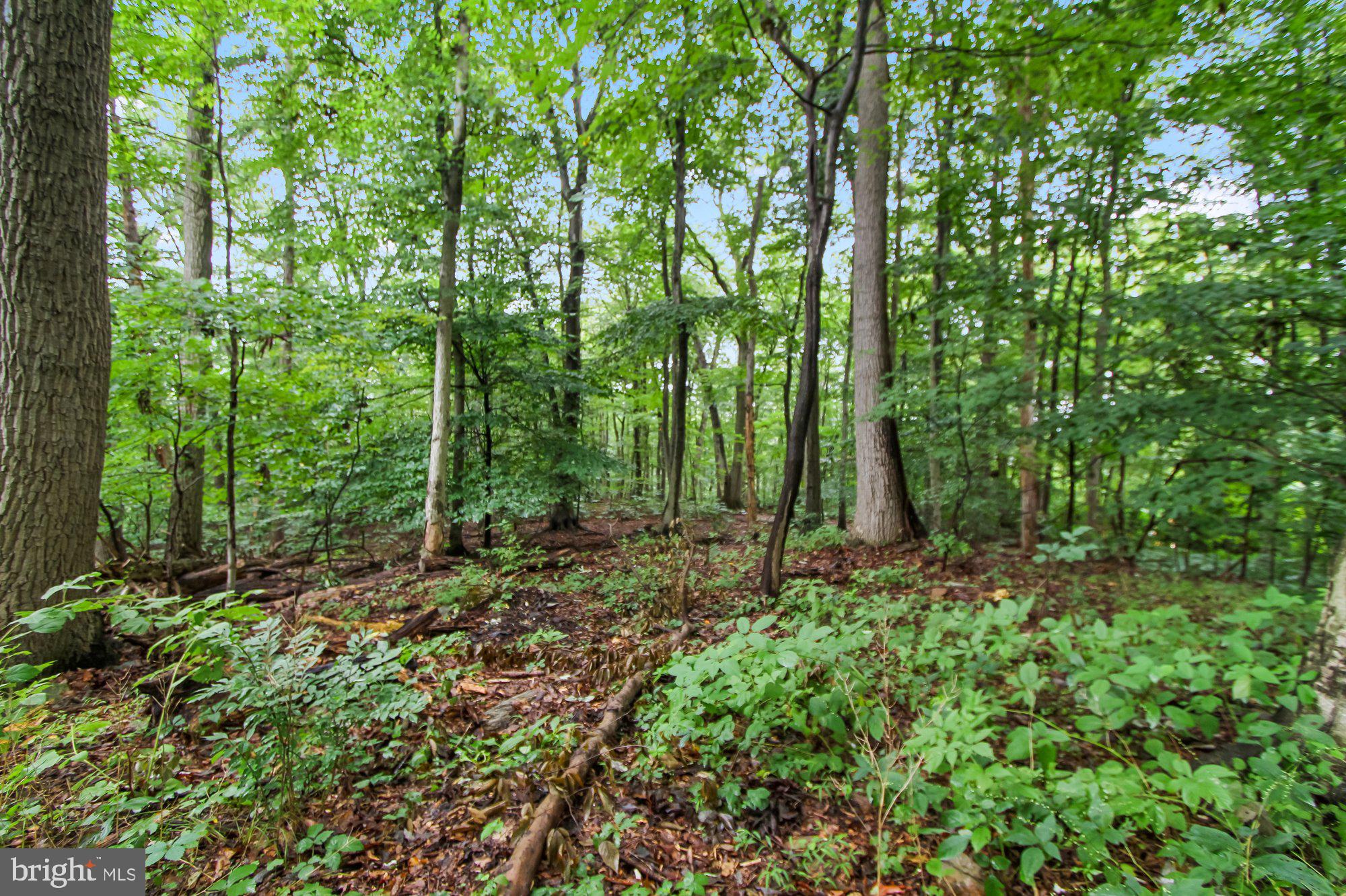 79 Riverview Road Delta, PA 17314 - Photo 22 of 43 Gallery Image 22