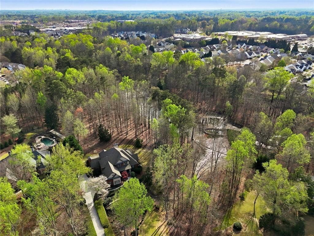 800 Barberry Drive Milton, GA 30004 - Photo 58 of 63 an aerial view of green landscape with trees