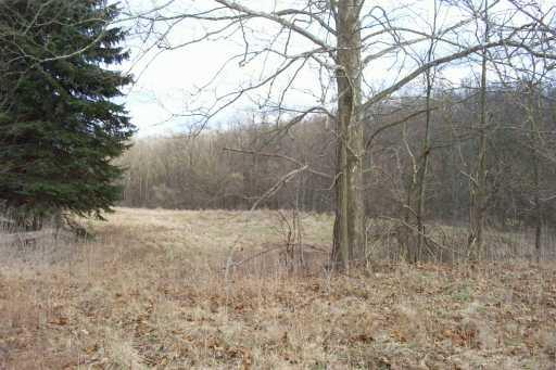 374 Valley Brook Road Canonsburg, PA 15317 - Photo 2 of 3 Land.