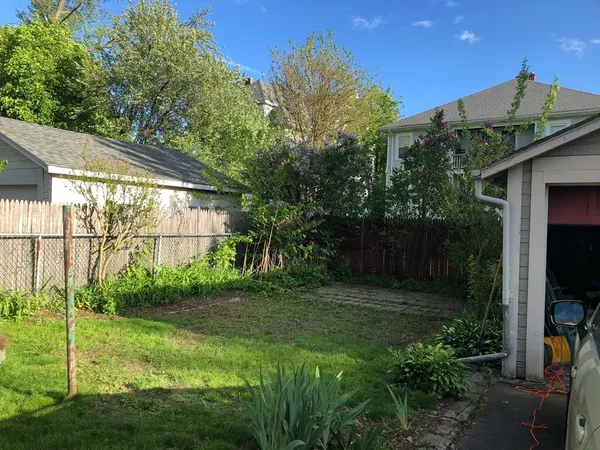 a view of backyard with potted plants and a large tree