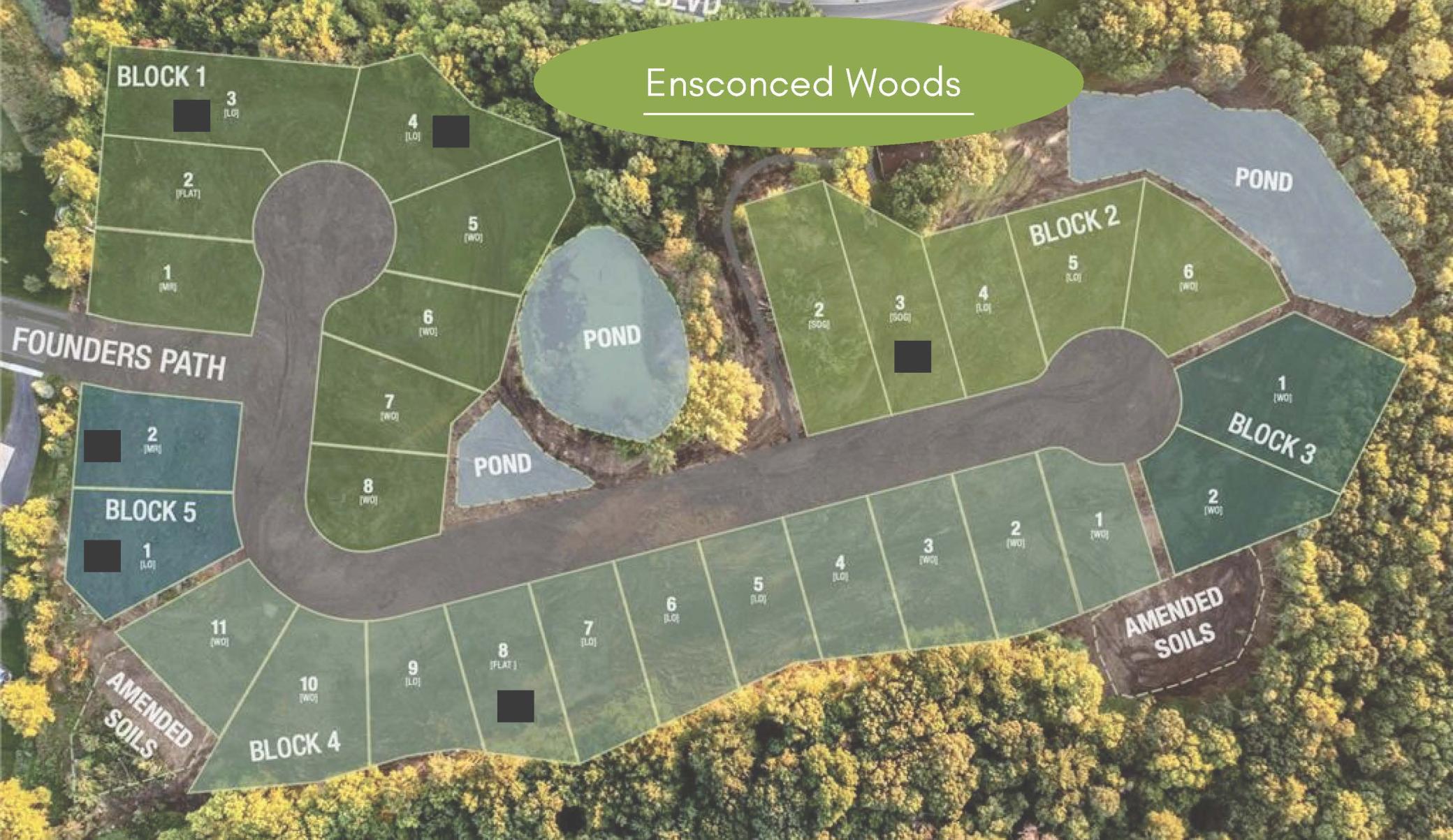 719 Ensconced Way Chaska, MN 55318 - Photo 3 of 4