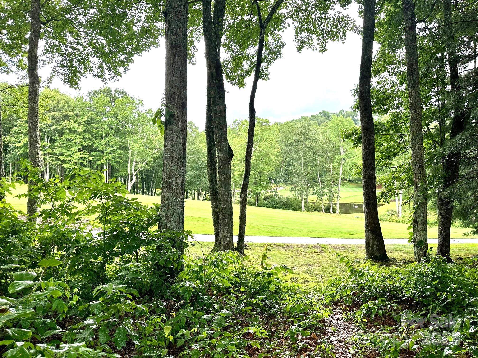 56 First Tee Trail Cashiers, NC 28717 - Photo 2 of 37