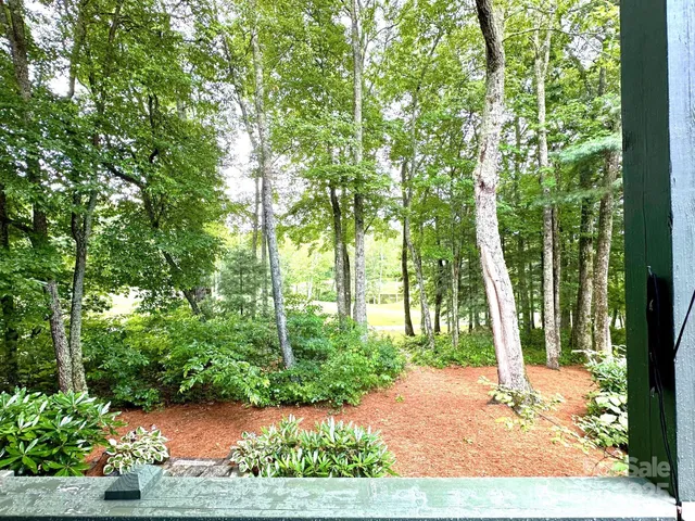 a view of a patio with table and chairs potted plants