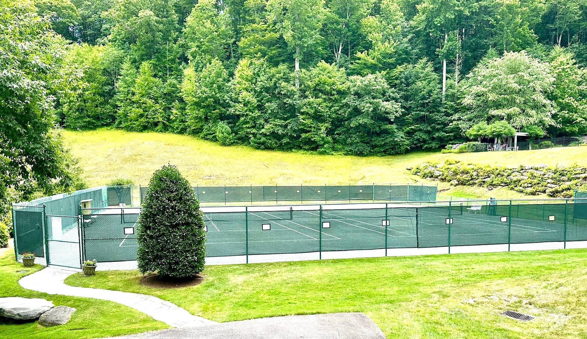 56 First Tee Trail Cashiers, NC 28717 - Photo 34 of 37 a view of a yard with wooden fence