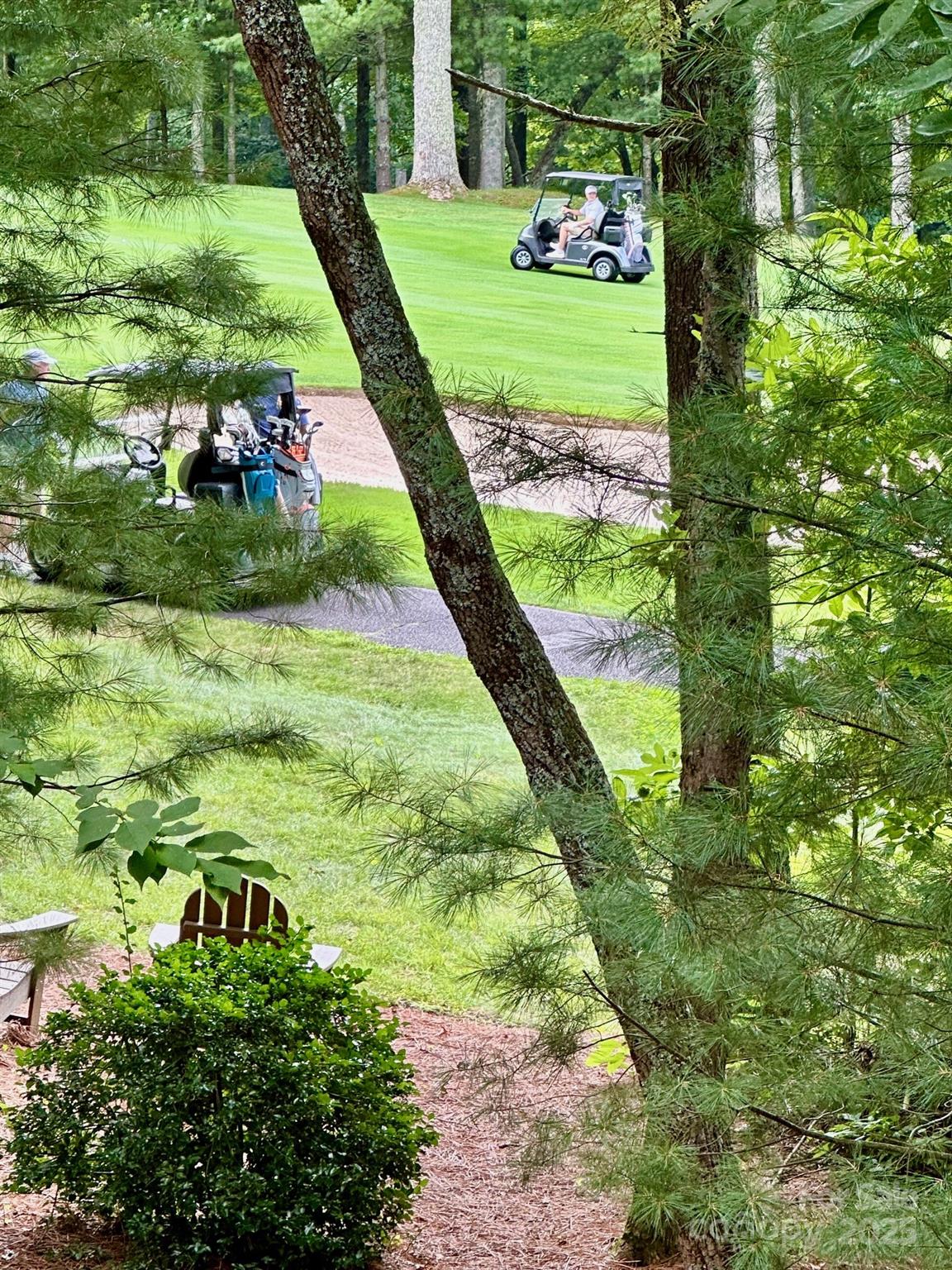 56 First Tee Trail Cashiers, NC 28717 - Photo 35 of 37 a view of yard with green space