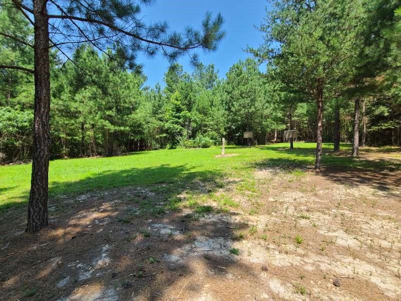 663 Tomlinson Road, Unit 3 Victoria, VA 23974 - Photo 34 of 62 Gallery Image 34