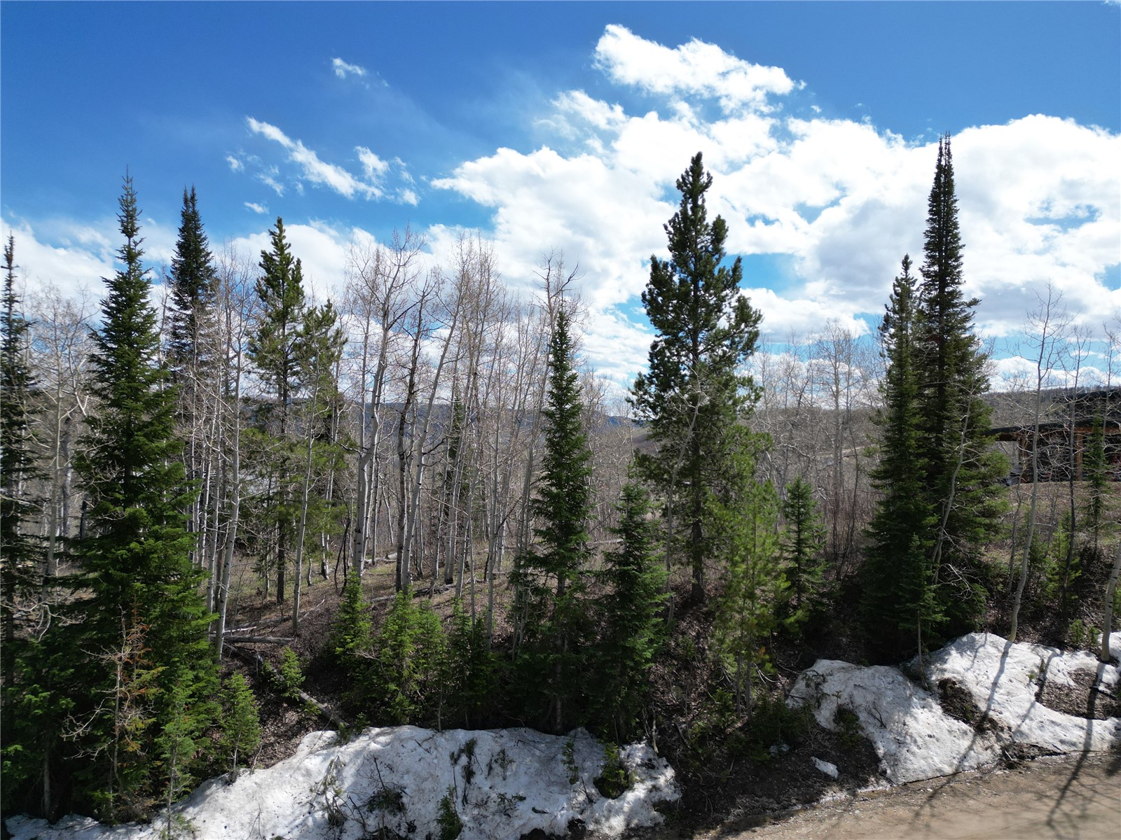 57960 Longfellow Way Clark, CO 80428 - Photo 5 of 17 a view of a city with trees