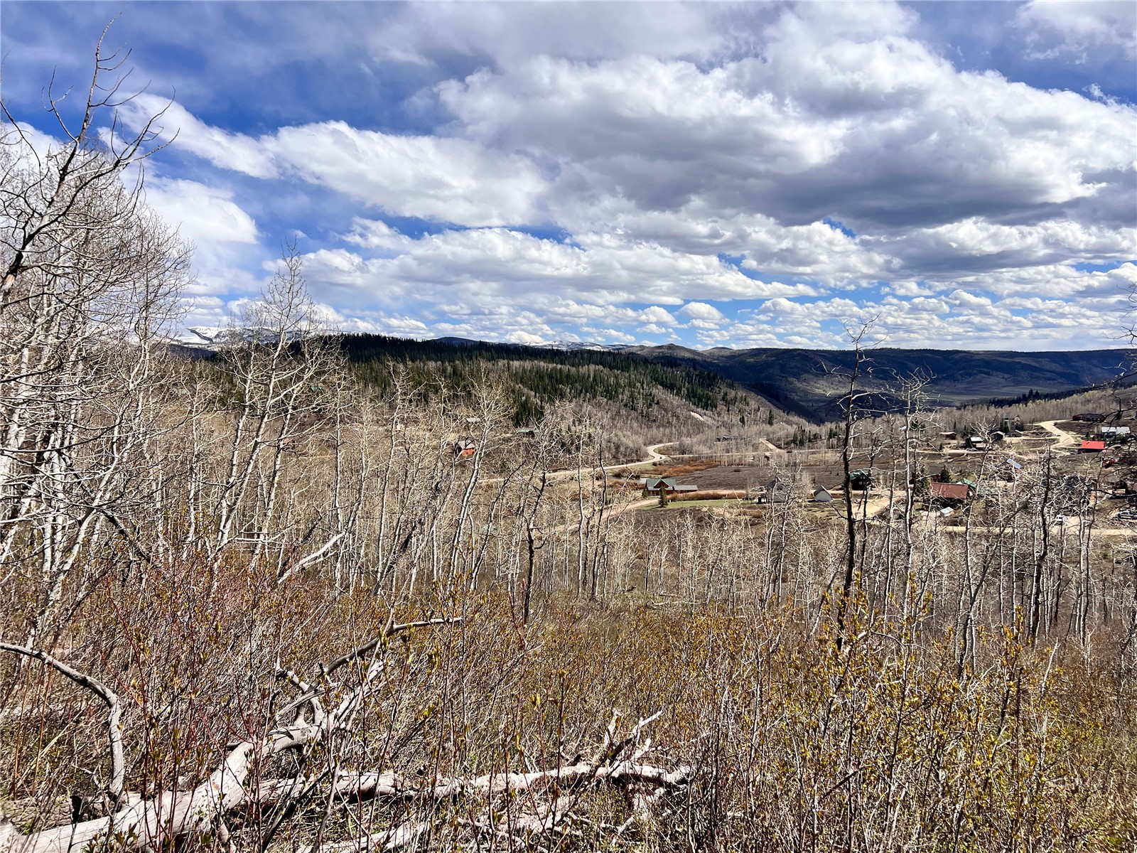 57960 Longfellow Way Clark, CO 80428 - Photo 7 of 9 Views