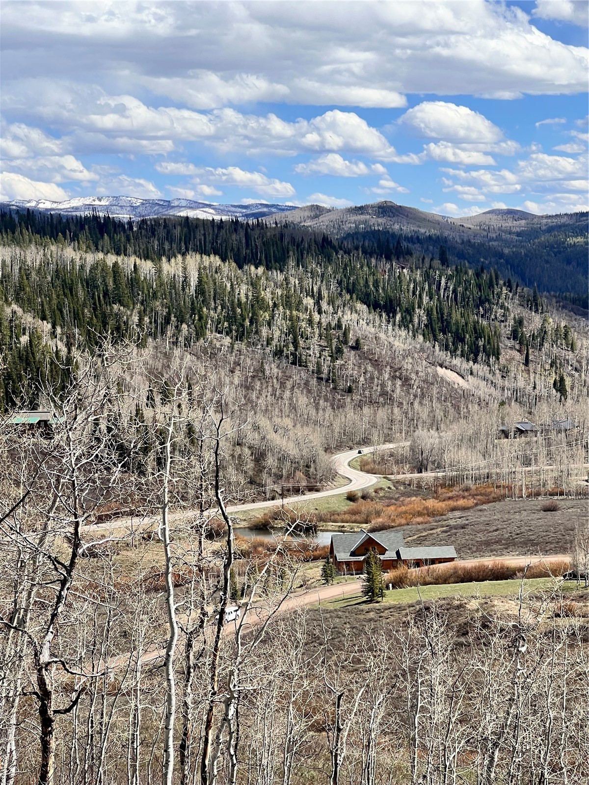 57960 Longfellow Way Clark, CO 80428 - Photo 7 of 17 a view of a yard with wooden fence