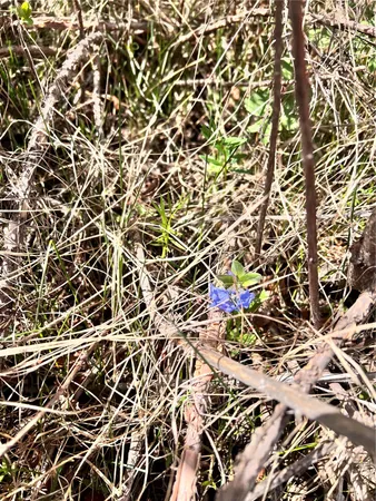 $85,000 | 57960 Longfellow Way, Clark, CO 80428