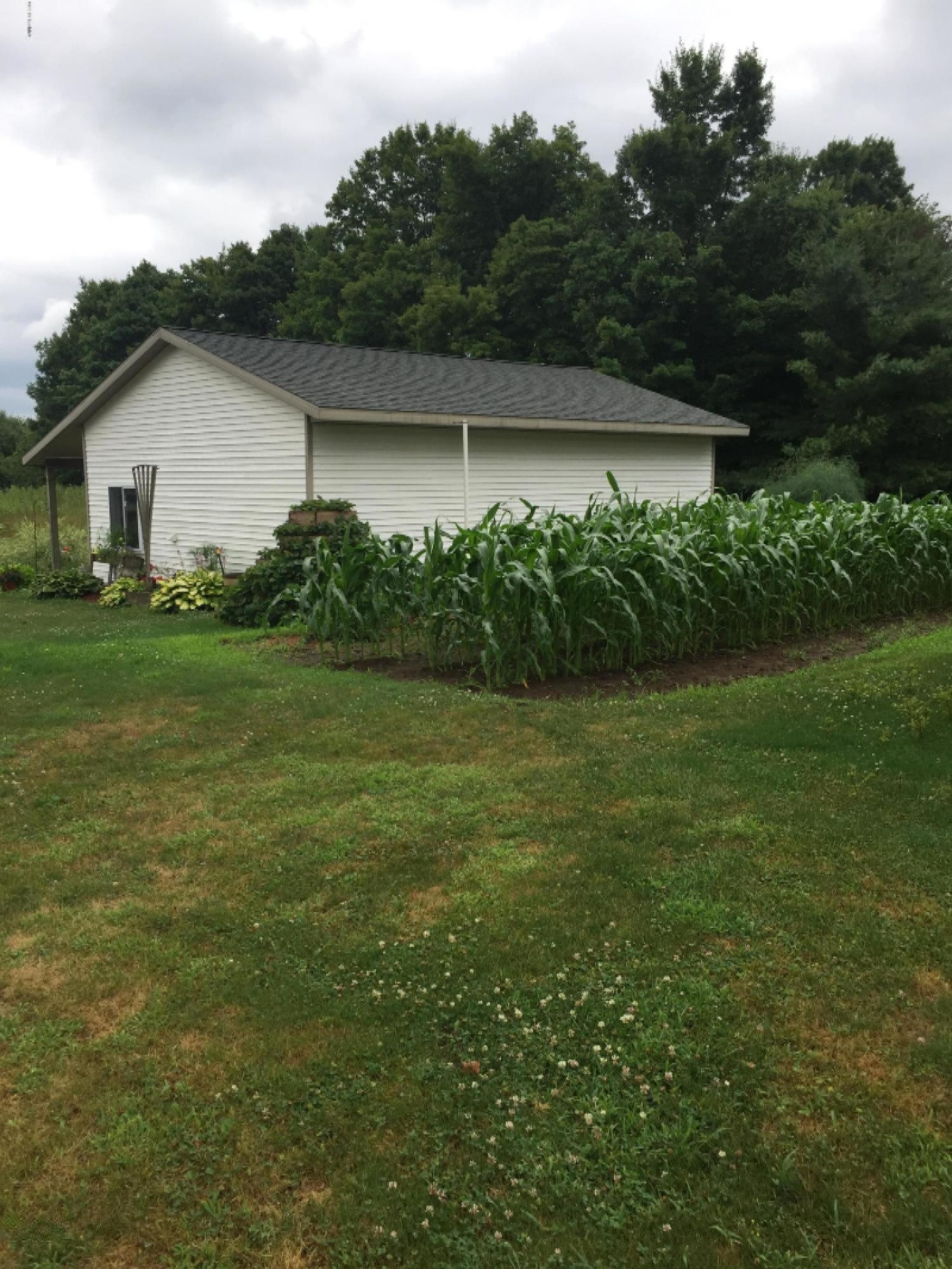 7001 Assyria Road Nashville, MI 49073 - Photo 54 of 62 IMG_7497