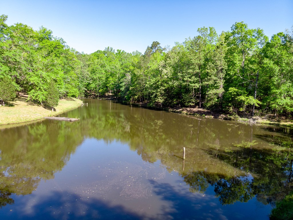 7330 Psalmond Road Midland, GA 31820 - Photo 11 of 20 Gallery Image 11